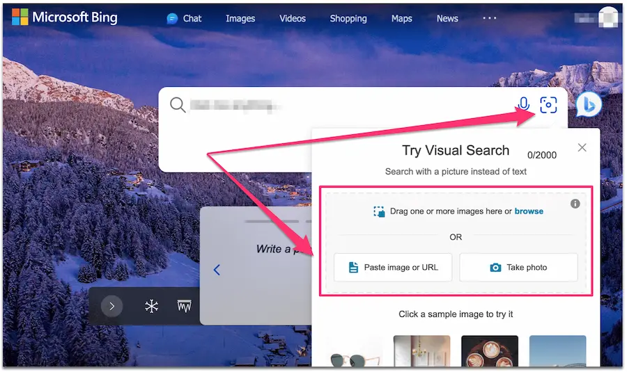 Bing visual search interface