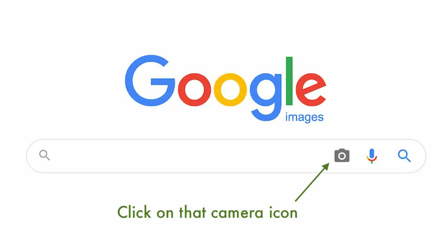Google search by image interface