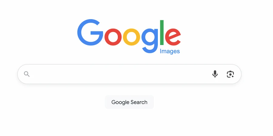 Google Images reverse search interface