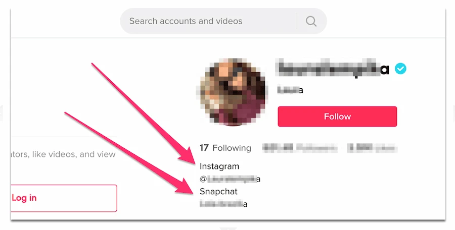 TikTok account details