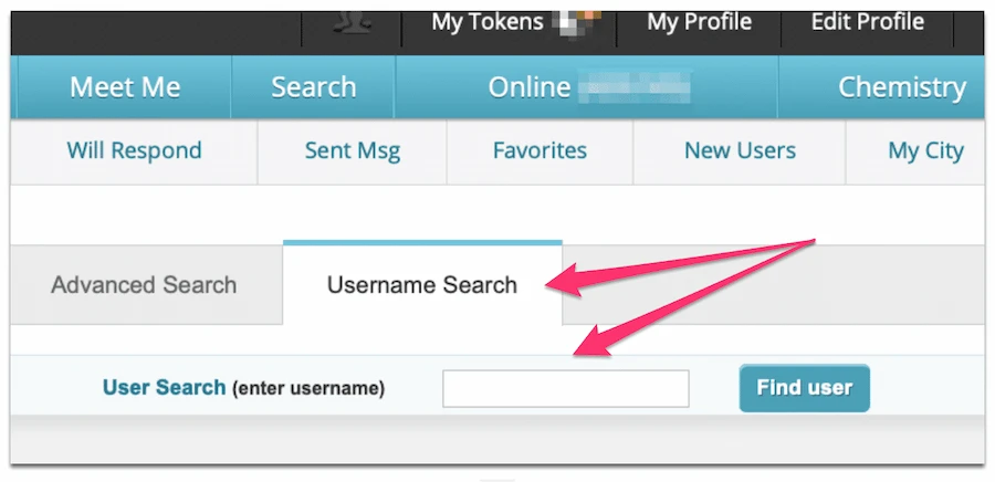 Screenshot showing the search interface for POF.