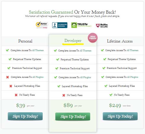 Elegant Themes developer license