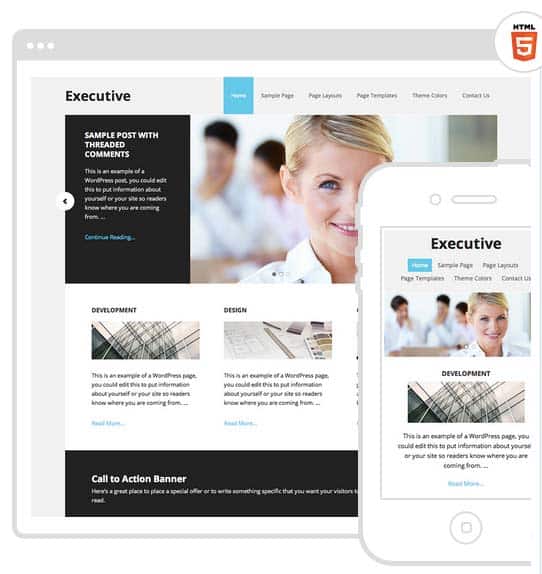  Executive Theme