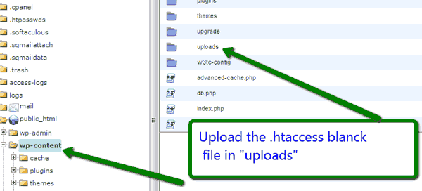 Protect wordpress files