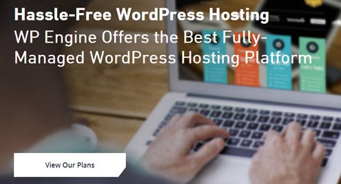 Fastest WordPress Hosting service