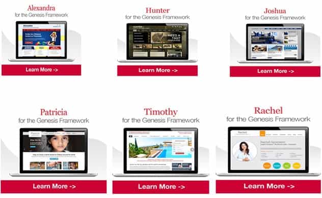 Buy Premium WordPress Themes