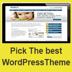 How to Choose-a WordPress Theme for your Blog