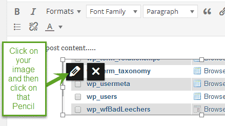 WordPress image link new window