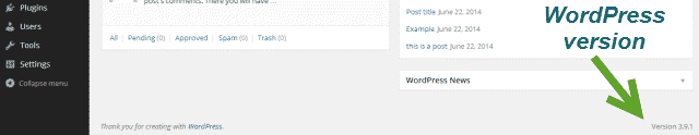 Call to Undefined Function in WordPress