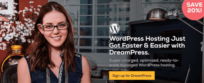 Professional web host