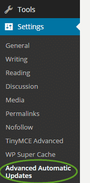 Setting Automatic WordPress Updates