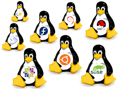 Linux web hosting guide