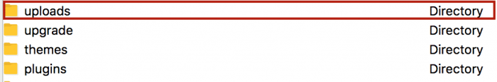 WordPress Uploads folder