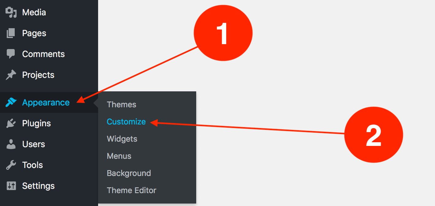 how to access the WordPress customizer